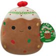 Squishmallows Maldon Fruit Cake 19 cm Sale