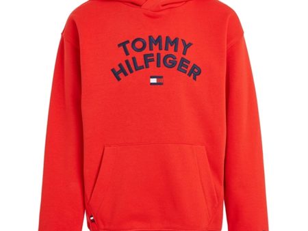 Tommy Hilfiger Flag Hoodie Fireworks Online